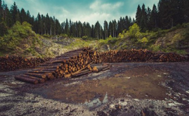 Image du domaine public. Image du domaine public.