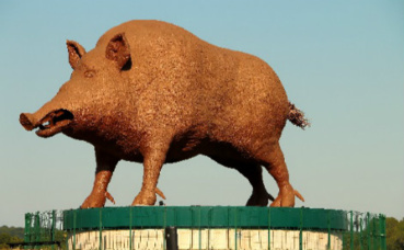 Photo prise par l'auteur Photo prise par l'auteur