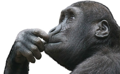 Image libre de droit