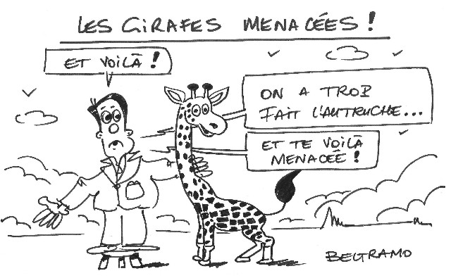 (c) Jean-Jacques Beltramo