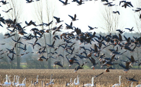 Image du domaine public