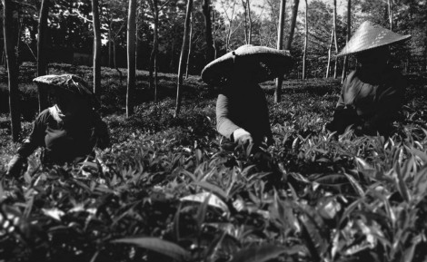 Photo (c) Céline Blervacque