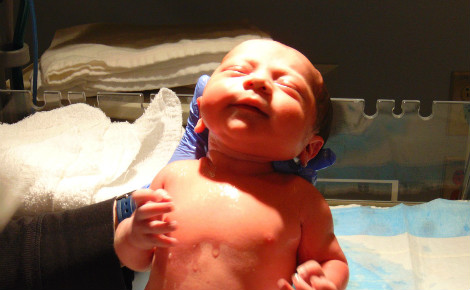 Illustration. Photo libre de droit.