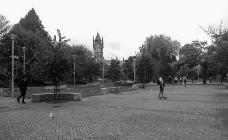 Photo (c) Université de Dunedin / Baptiste Monet