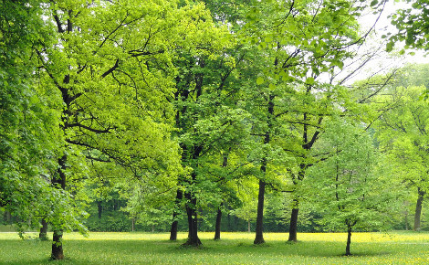 Illustration. Image libre de droits.