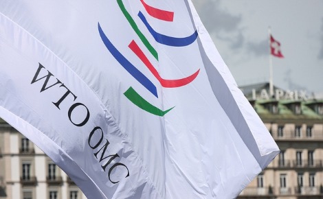 Photo (c) WTO