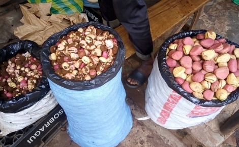 Le cola en vente au marché de Cosa (Conakry). Photo prise par l'auteur.