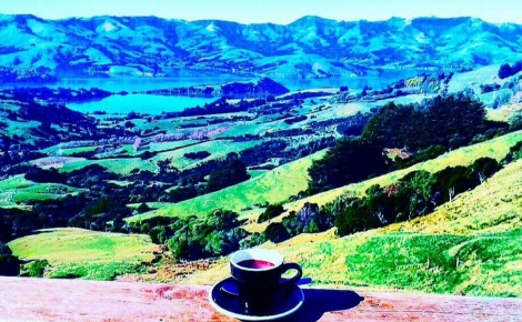 Les paysages diverses de Nouvelle-Zélande. Photo prise par Sarah Barreiros.