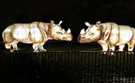 Ces deux rhinocéros animés semblent vouloir se faire la bise. Photo (c) Christophe de Bourmont