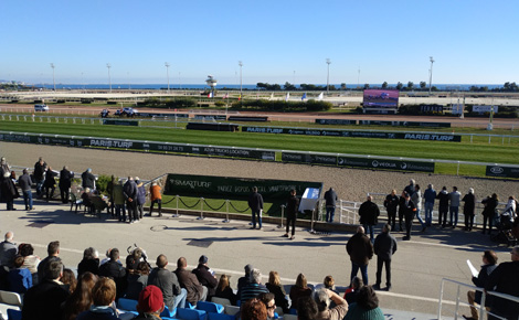 L'hippodrome de la Côte d'Azur. Photo (c) Serge Gloumeaud