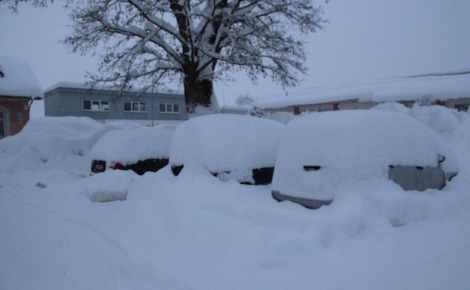Voitures ensevelies par la neige à Isny (c) E. S. Bassène