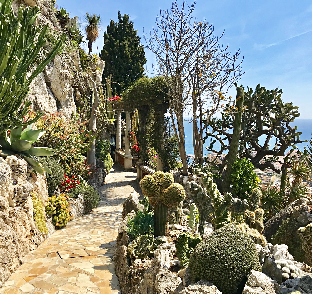 Le Jardin Exotique De Monaco Le Jardin Exotique De Monaco