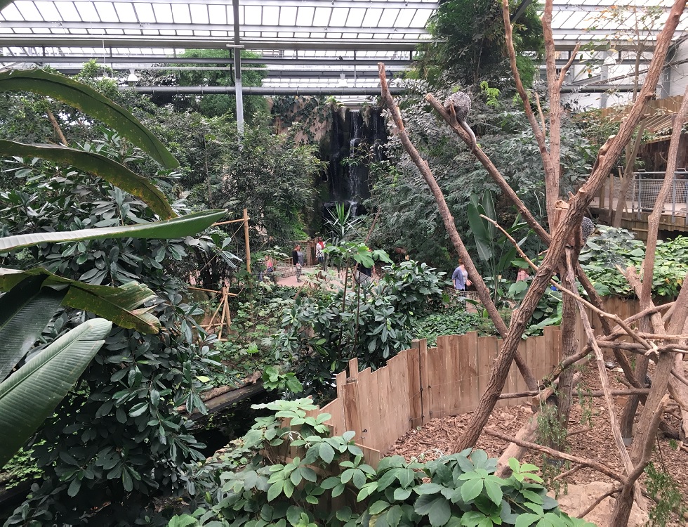 Le jardin tropical de Biotropica. Photo (c) Anne-Sophie Leroy