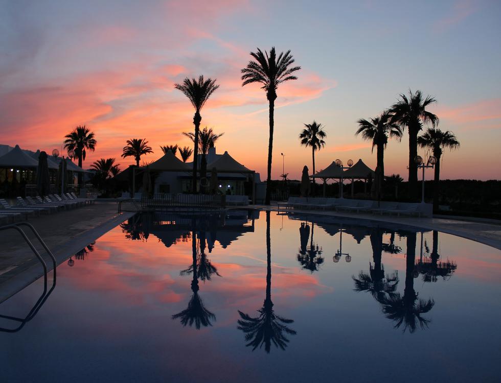 La Tunisie : ses palmiers, ses plages... et ses cliniques de chirurgie esthétique. Photo (c) Alex Sky - Pixabay