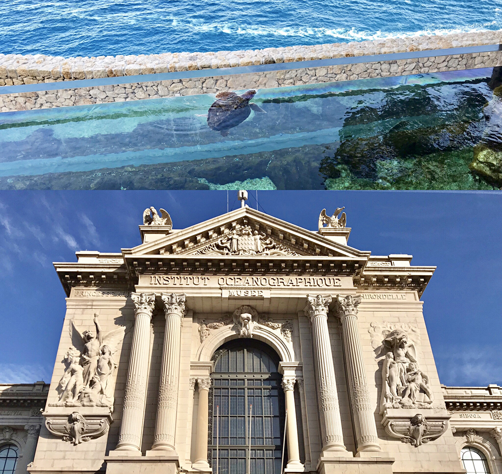 Nouveau bassin aux tortues marines et la majestueuse entrée du Musée Océanographique de Monaco. Photos montage (c) Charlotte Longépé.