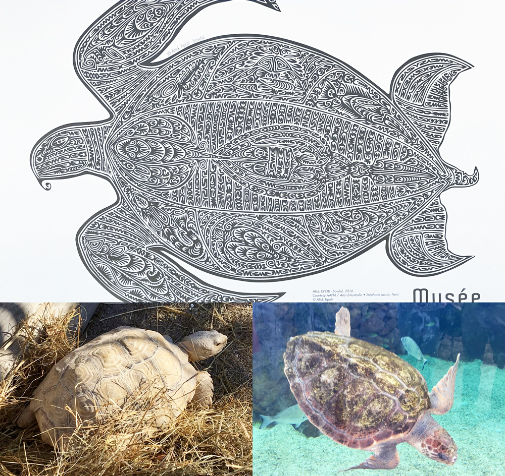Sowlal, lithogravure d'une tortue composée elle-même de créatures marines créee par Alick Tipoti dans le cadre de l'exposition TABA NABA en 2016; tortue du Mali située sur la terrace du musée et tortue caouanne. Photo (c) Charlotte Longépé.