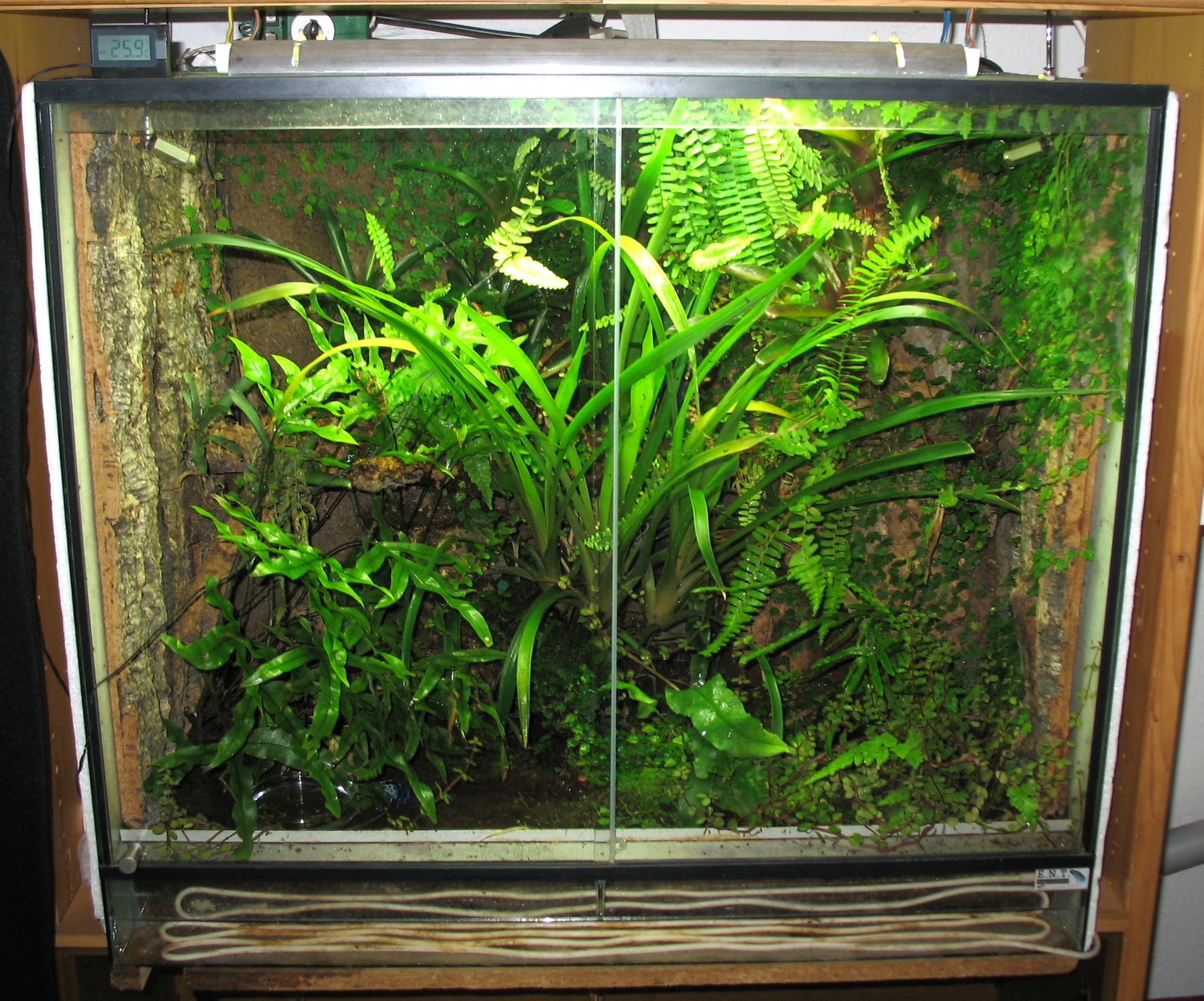 Un terrarium pour lézard © Wikipedia