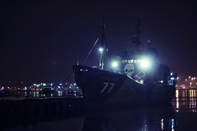Un des navires de Sea Shepherd (c) Pixabay