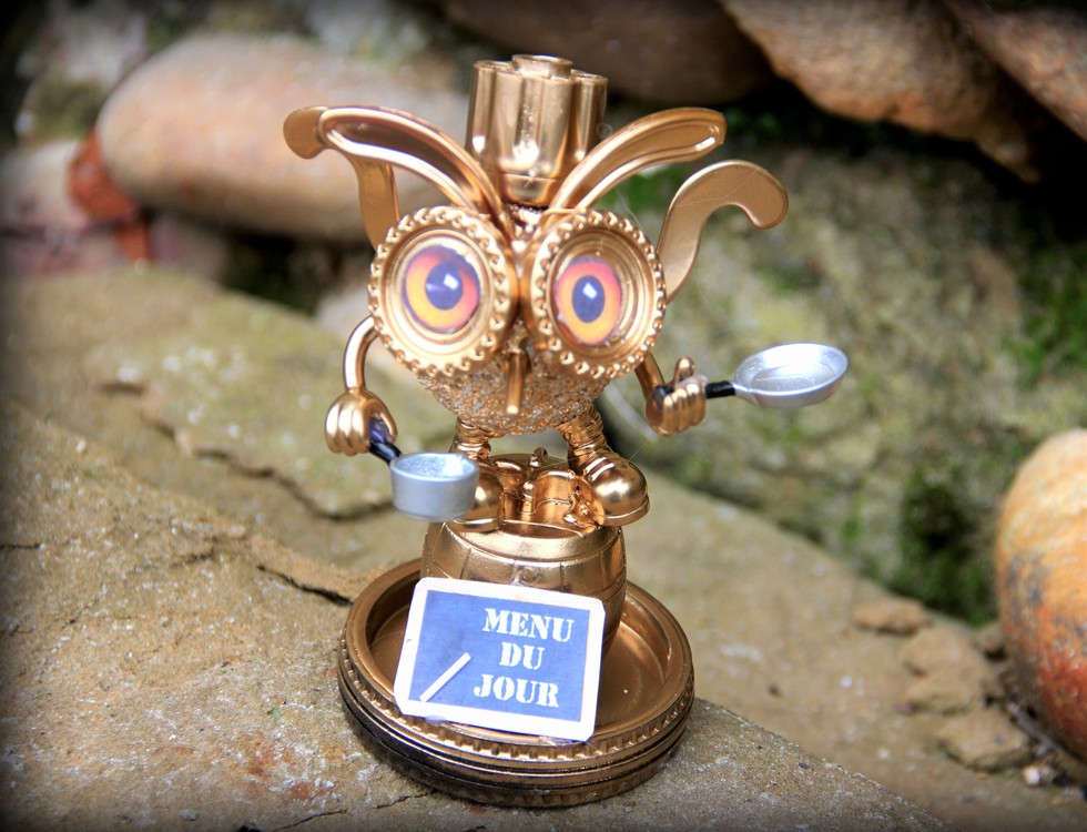 Chouette chef cuisinier (c) Sébastien Bietrix