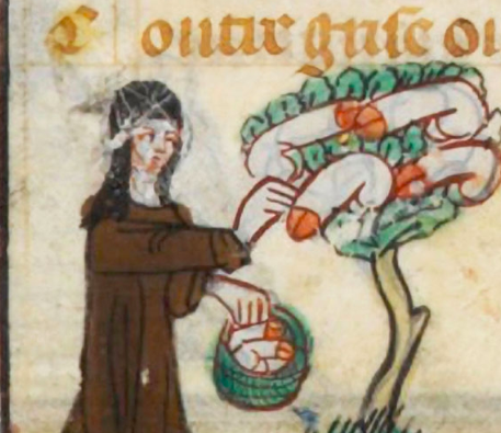 Illustration issue du Roman de la Rose ©Guillaume de Lorris