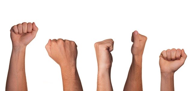 Liberté d'expression et d'information sont des droits incontestables (c) Niek Verlaan, Pixabay