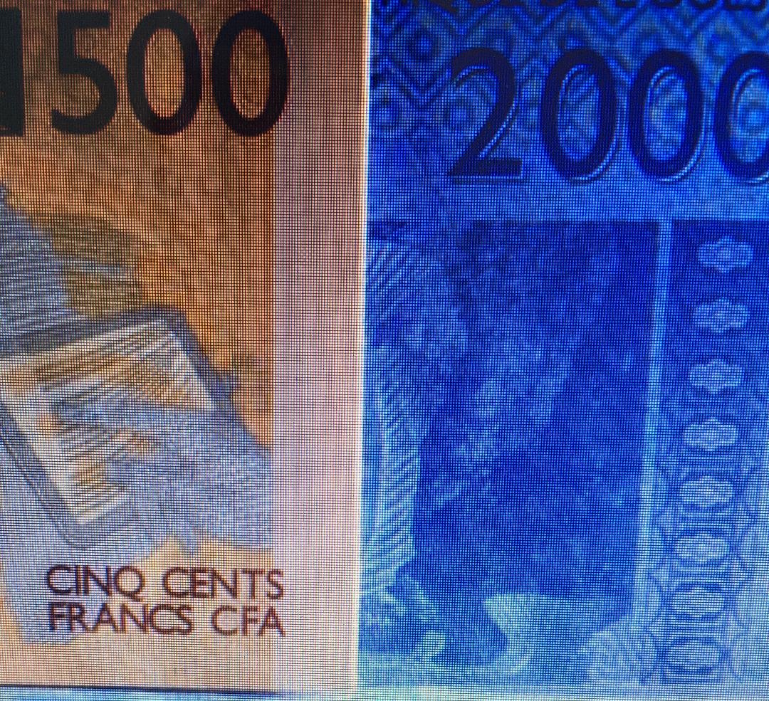 Un aperçu du Franc CFA. (C) Okaigne Henri