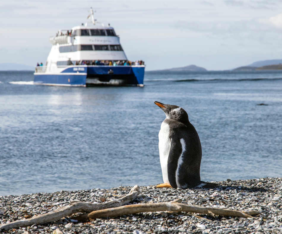 Que restera-t-il de la faune et la flore quand les précieuses glaces polaires ne seront plus qu'un lointain souvenir en Arctique ? / © Sander Crombach sur Unsplash