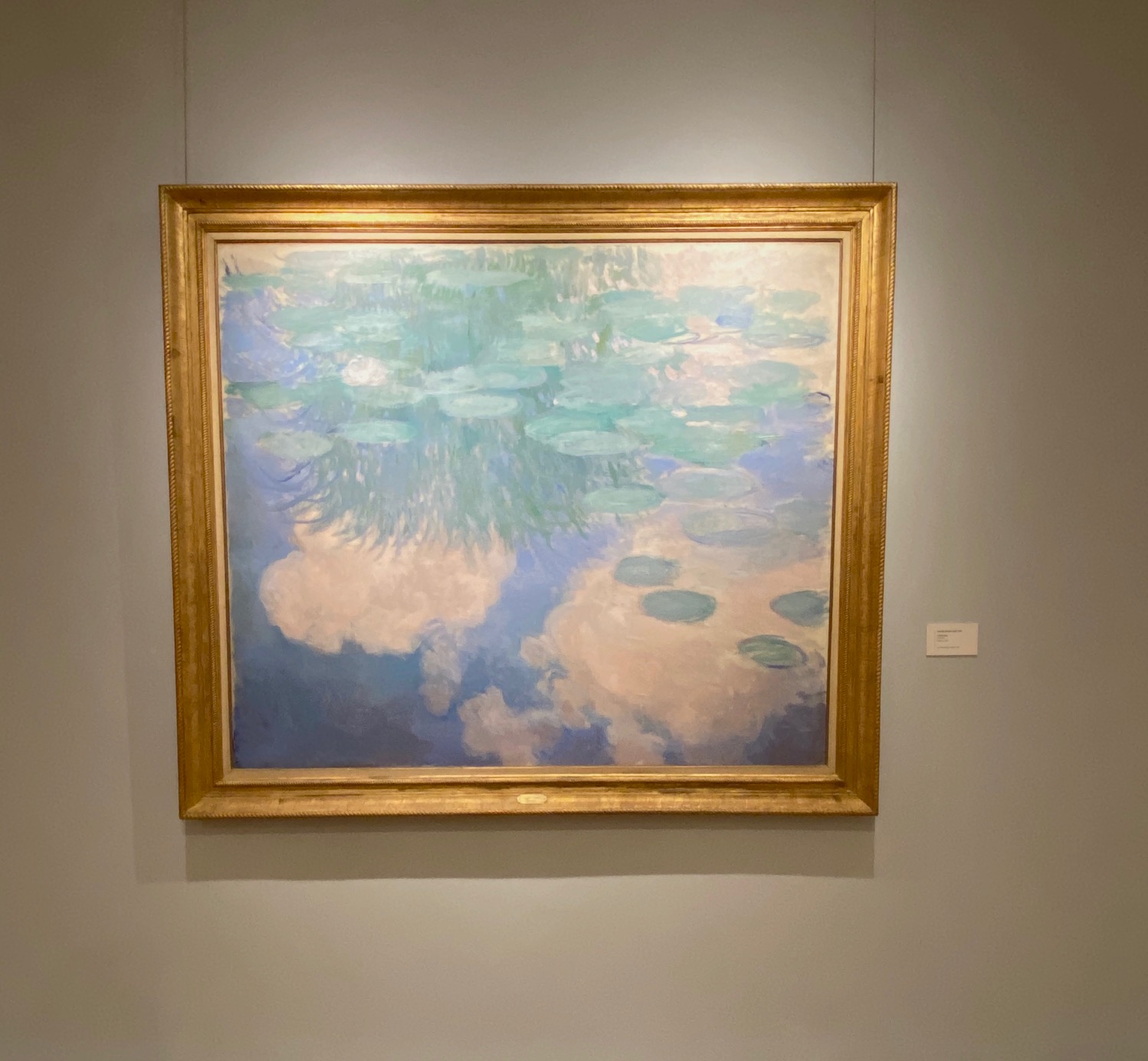 Nympheas de Claude Monet (c) Maxime Delahousse