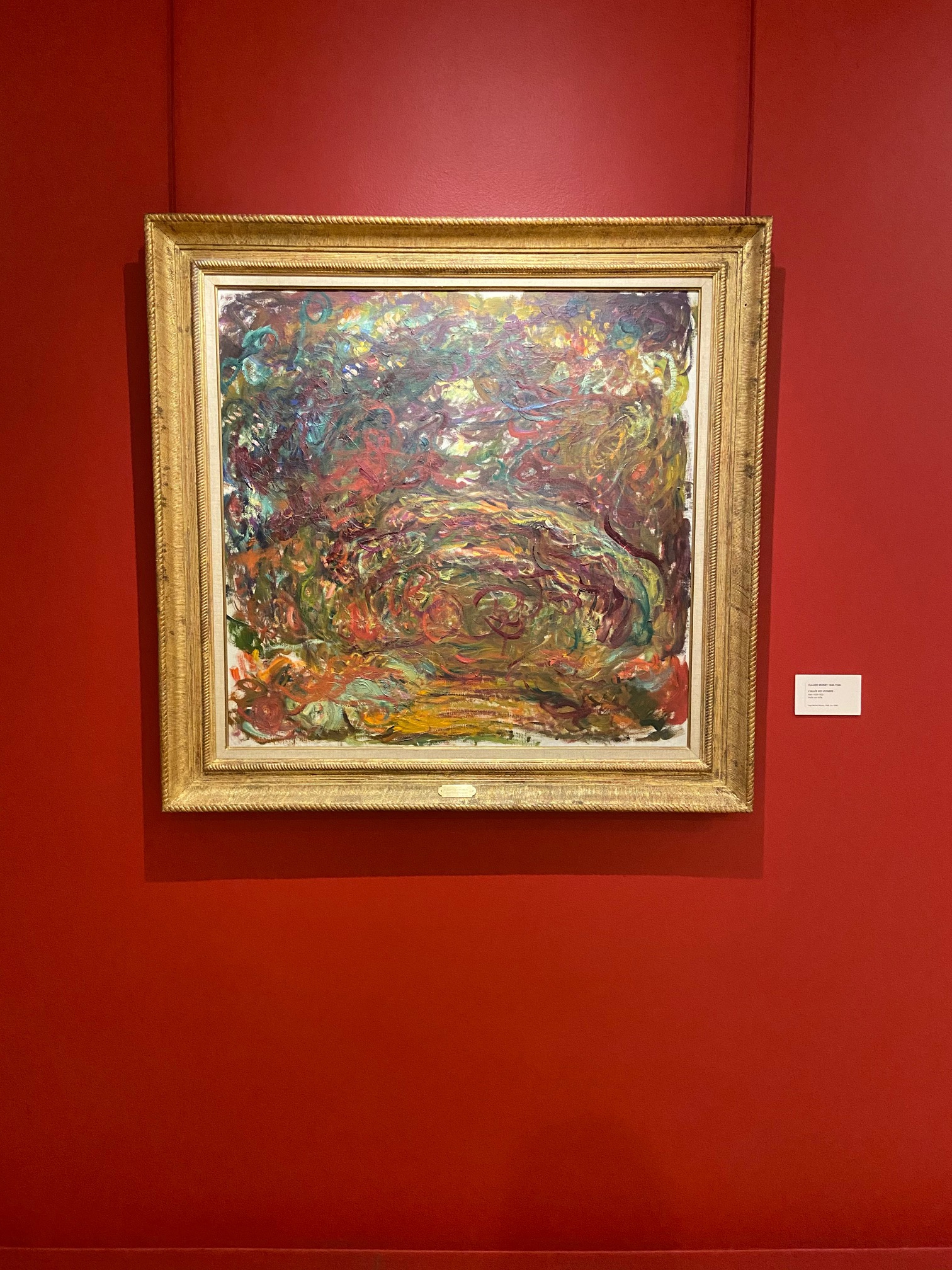 L'allée des rosiers de Claude Monet (c) Maxime Delahousse