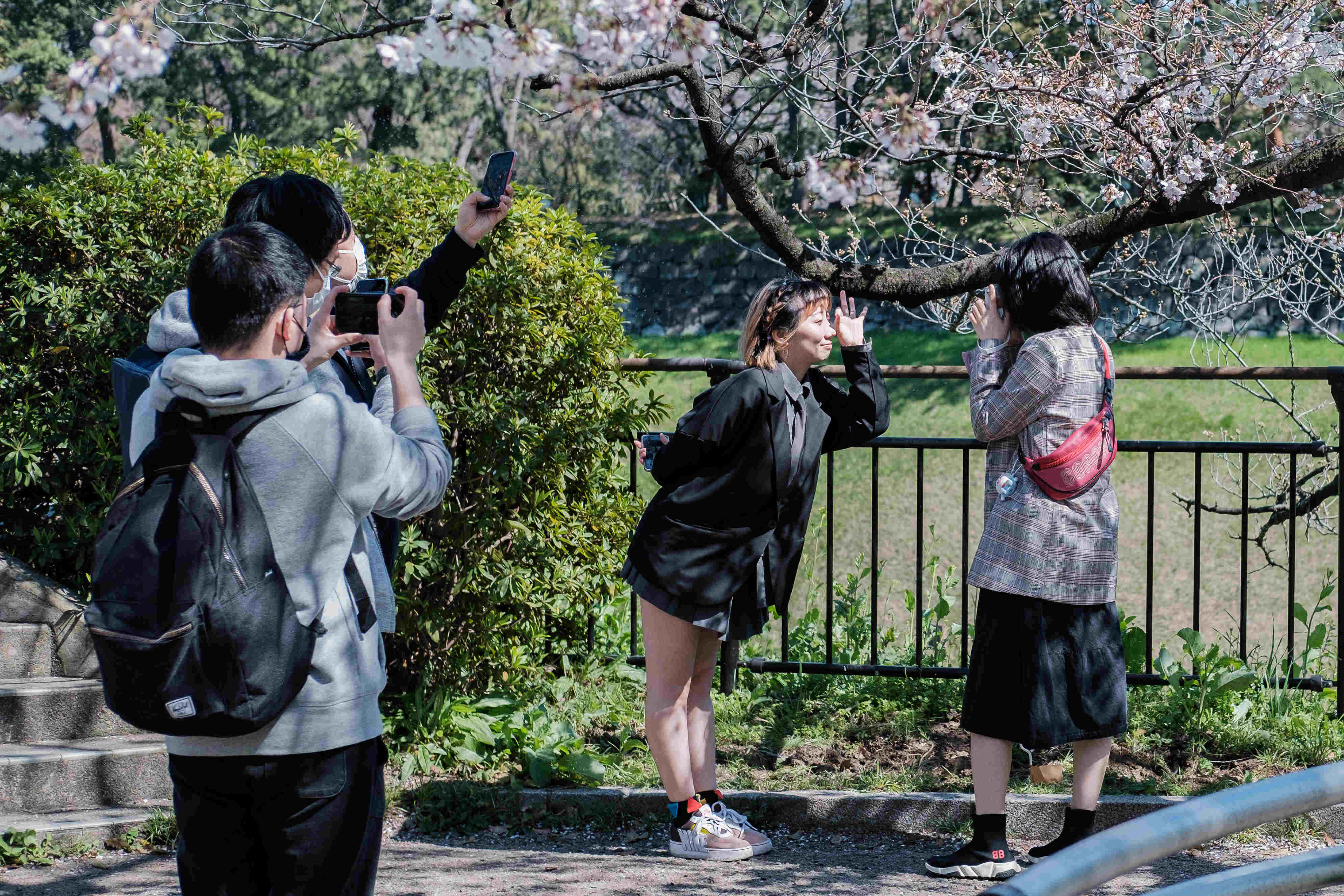 La floraison des cerisiers n'incite pas la population à rester à la maison, malgré les recommandations des autorités. ©Florent Guérout