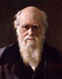 Qui a volé les carnets de Charles Darwin ?