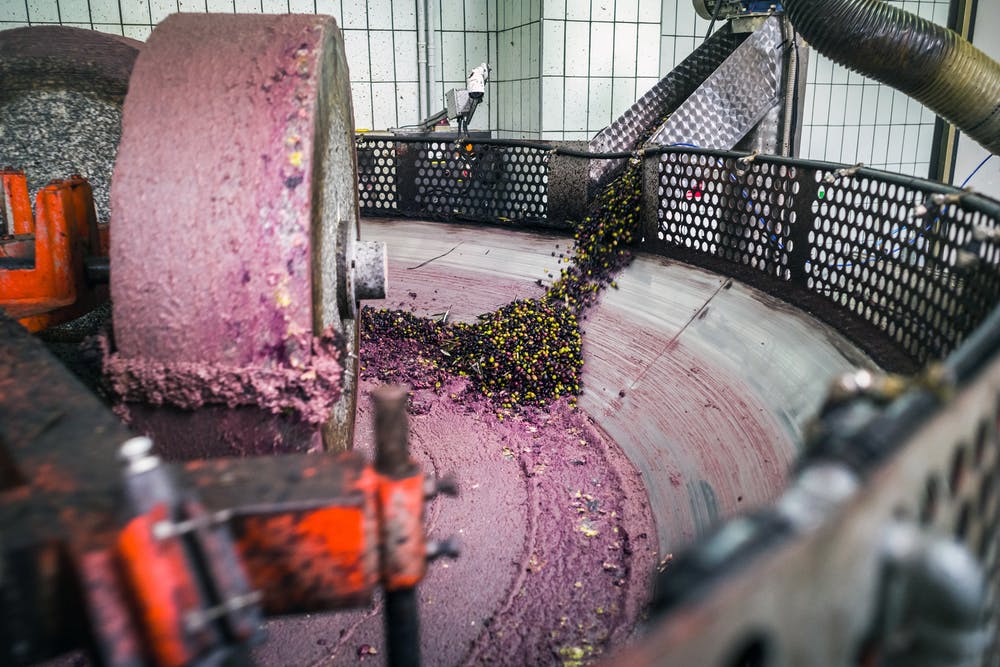 L’huile d’olive vierge extra est extraite uniquement par des moyens mécaniques (ici à Mola di Bari, dans les Pouilles, en Italie). Shutterstock