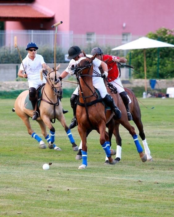 Photo courtoisie (c) DR