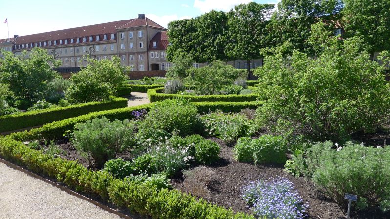 Photo (c) Amaury van Hoorebeke