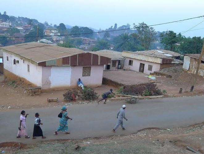 Photo: Amaury van Hoorebeke