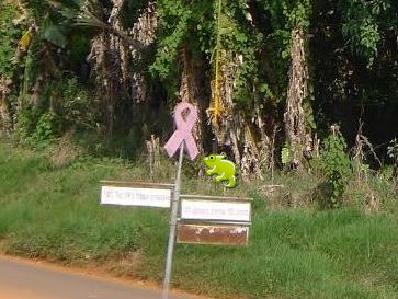 IMAGE DU JOUR: Les aventures de Léon Camay - 23