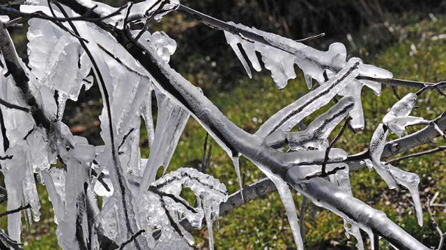 Photo (c) Ibrahim Chalhoub