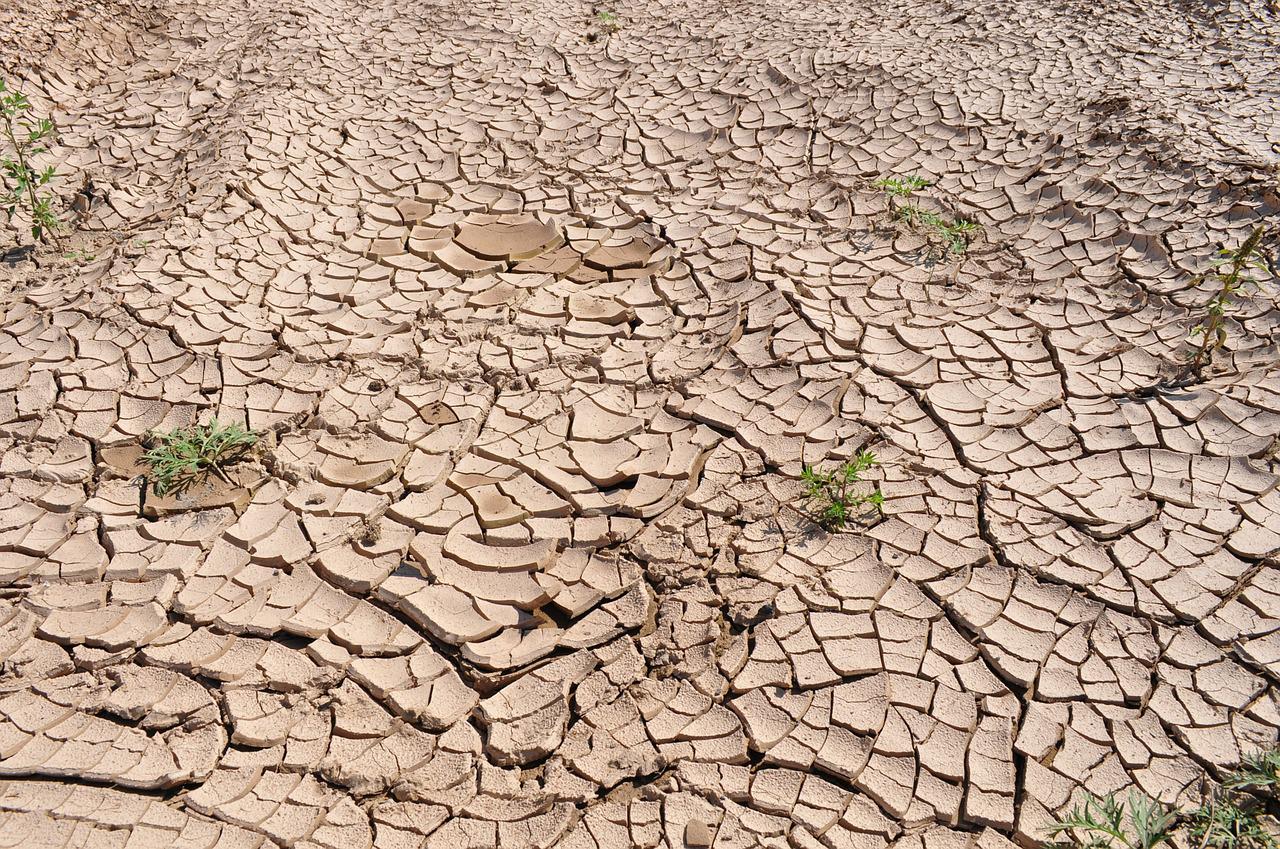 Augmentation des sécheresses dans le monde (c) DR