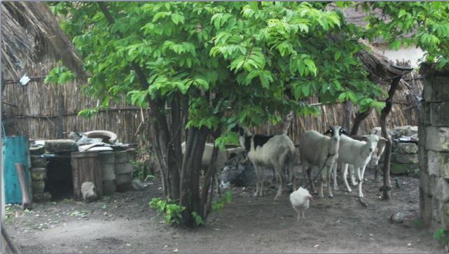 Photo: Amaury van Hoorebeke