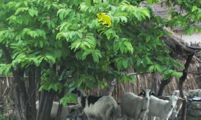 IMAGE DU JOUR: Les aventures de Léon Camay - 30