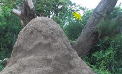 IMAGE DU JOUR: Les aventures de Léon Camay - 31