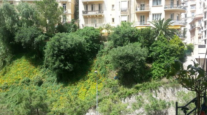 Photo (c) Eva Esztergar