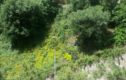 IMAGE DU JOUR: Les aventures de Léon Camay - 37