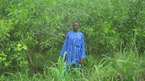 Le chef du village dans la forêt communautaire. Photo: AT