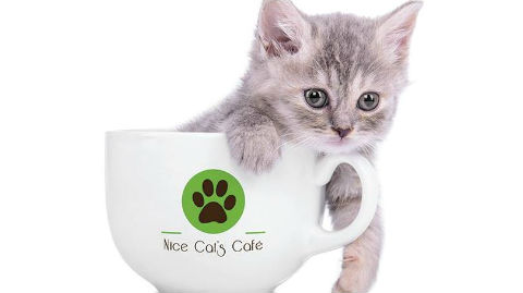 Cliquez ici pour accéder à la page Facebook