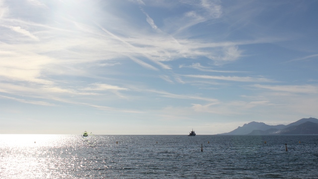 Photo (c) Amaury van Hoorebeke