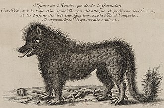 la Bête du Gévaudan "Star du Musée.