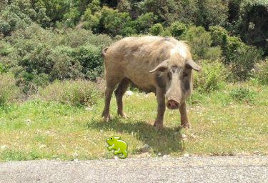 IMAGE DU JOUR: Les aventures de Léon Camay - 46