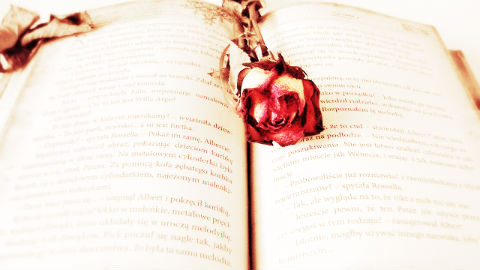 Cliquez ici pour choisir parmi les titres de la littérature sentimentale