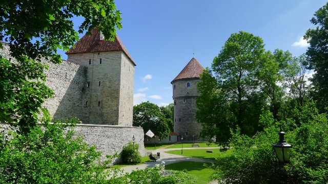 Photo (c) Amaury van Hoorebeke